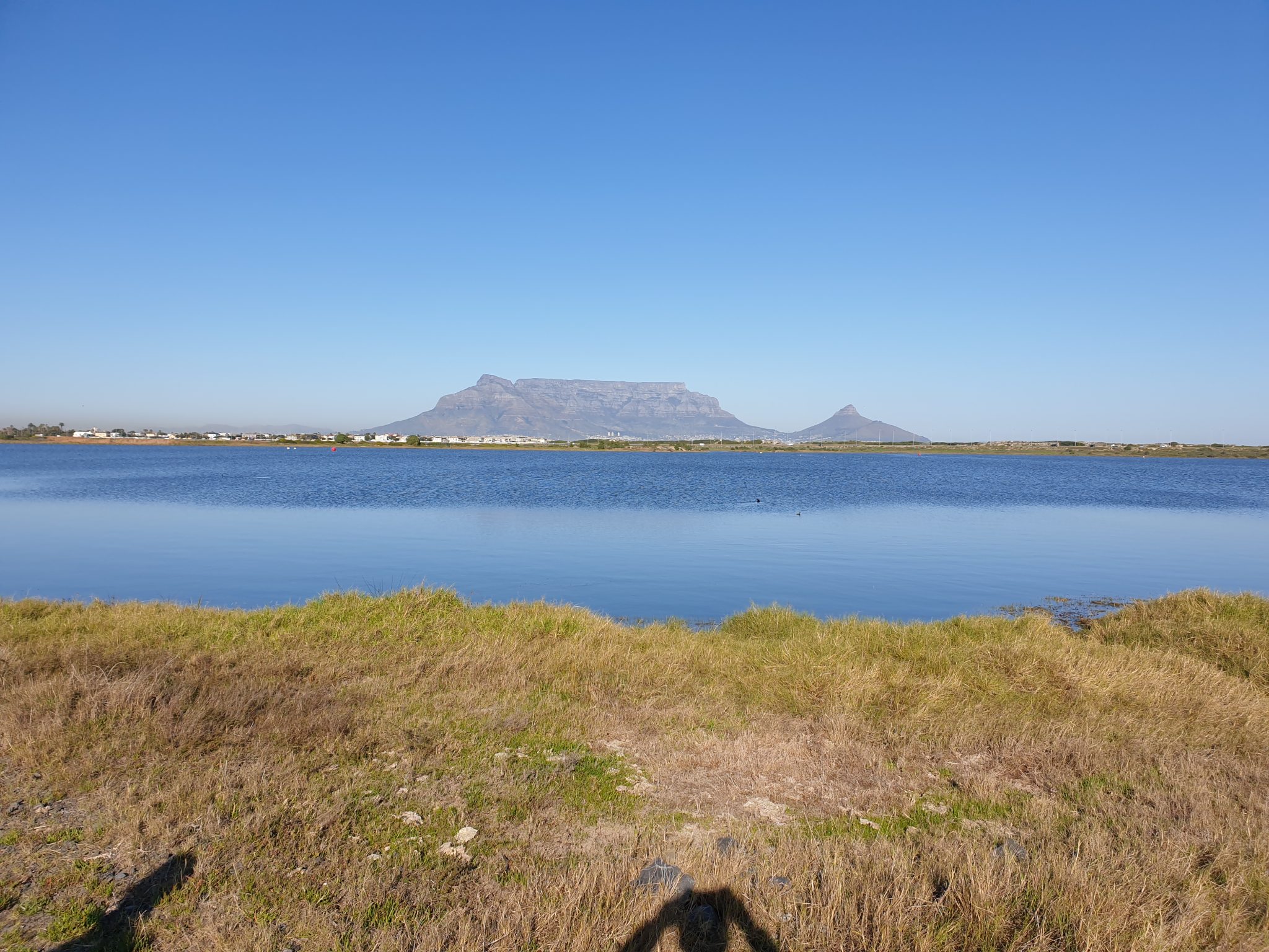 Rietvlei with Table Mountain in the background
